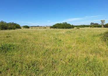 VENDO HERMOSA PARCELA DE 2 HAS, EN ZONA DE COLONIA HOCKER!!